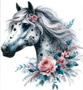 Apaloosa Horse #1