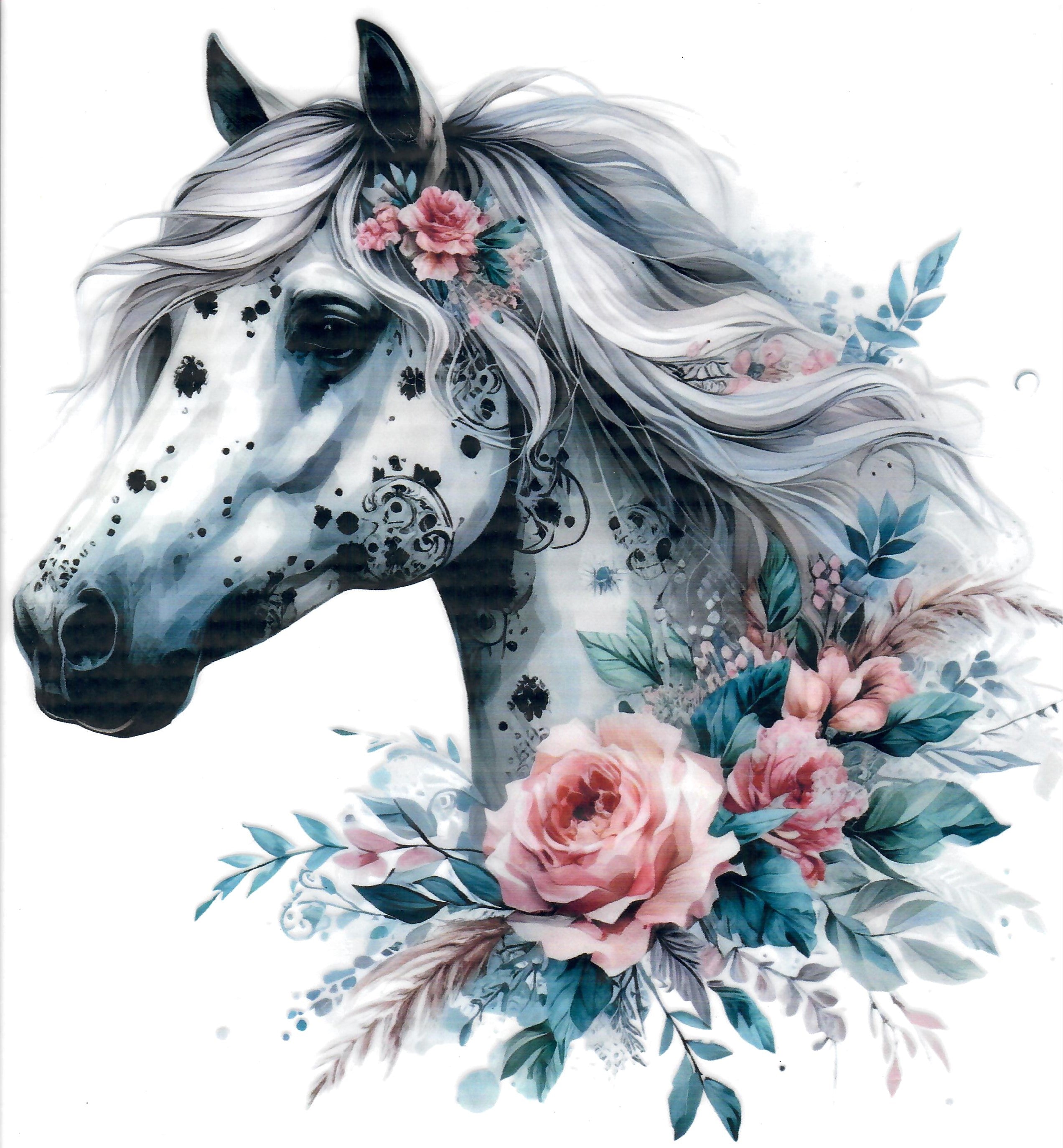 Apaloosa Horse #1