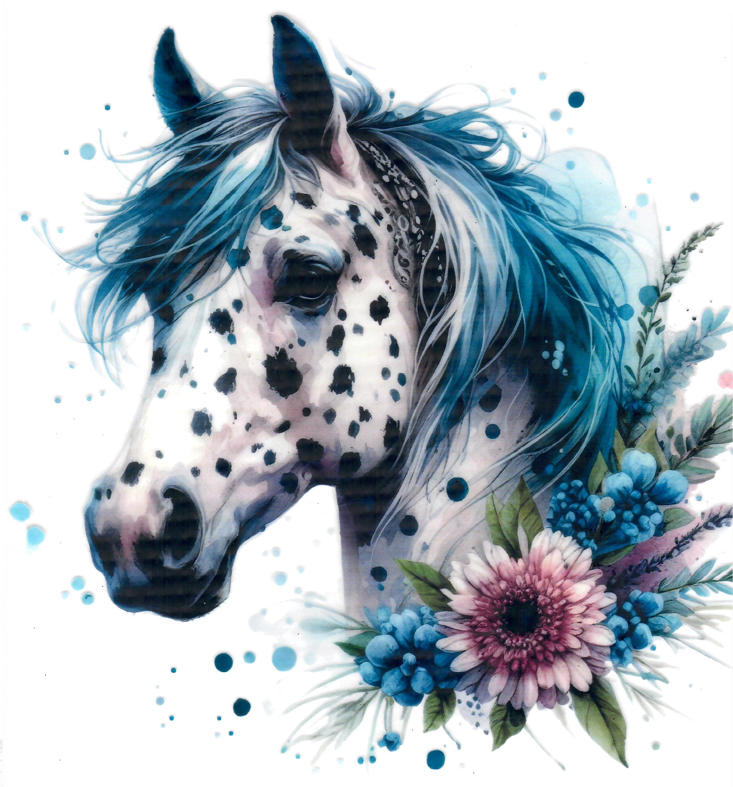 Apaloosa Horse #3