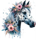 Apaloosa Horse #4