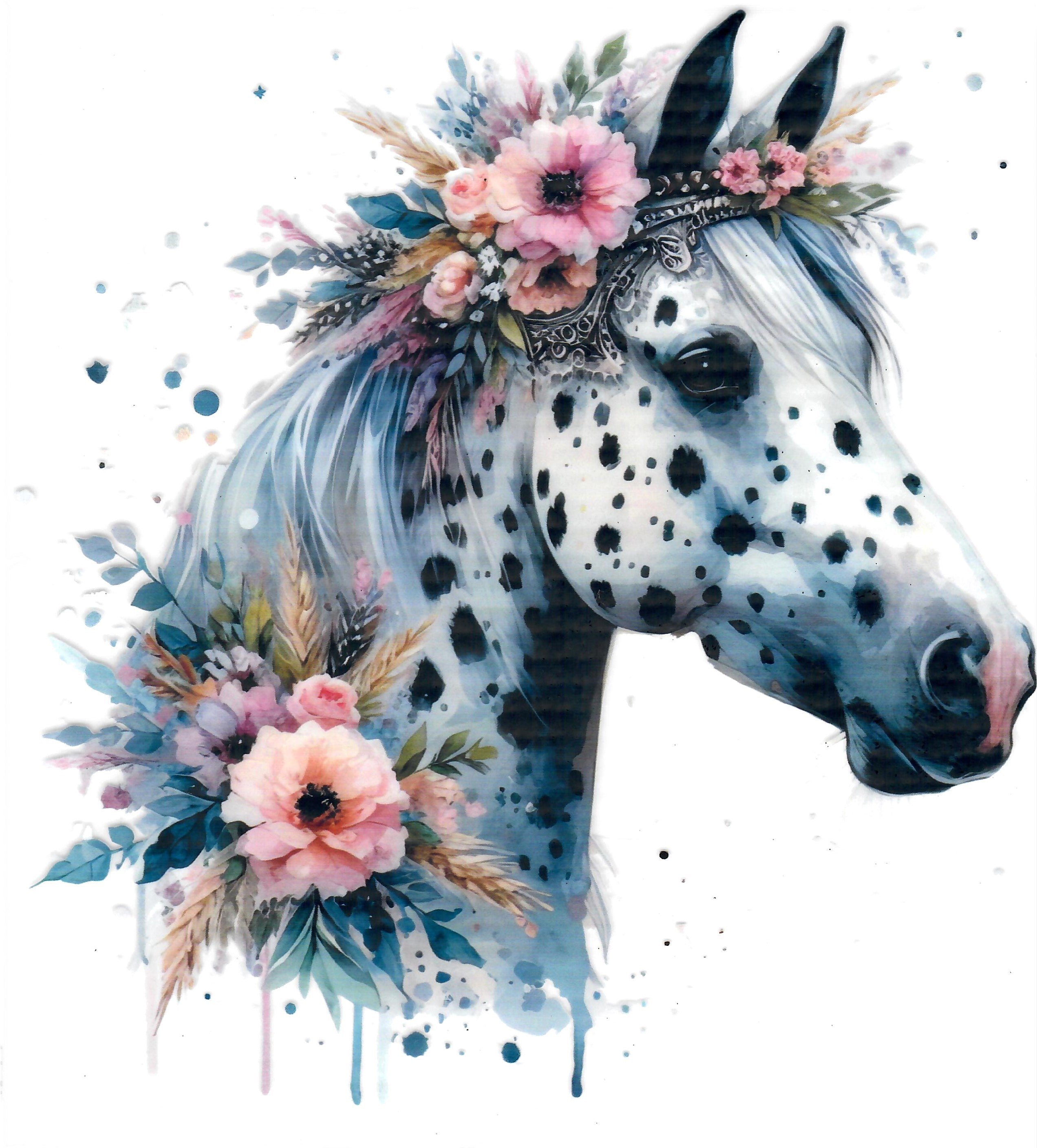 Apaloosa Horse #4