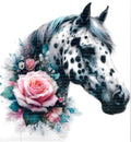 Apaloosa Horse #6