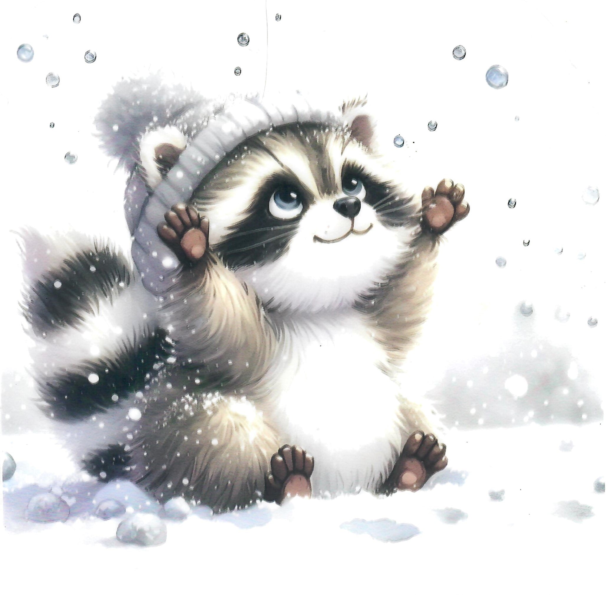 Baby Raccoon in Snow #2