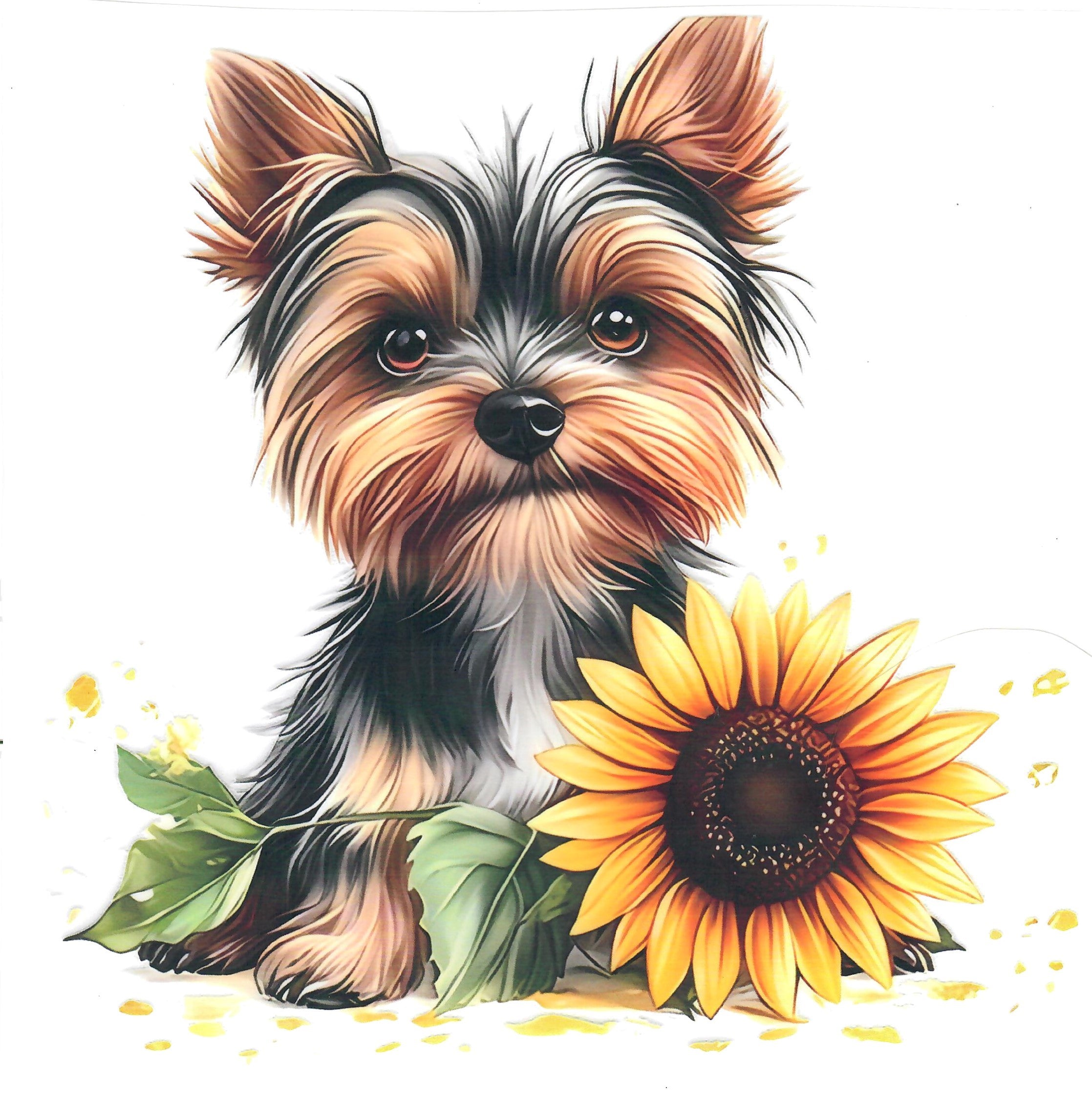 Yorkie Shirt #1