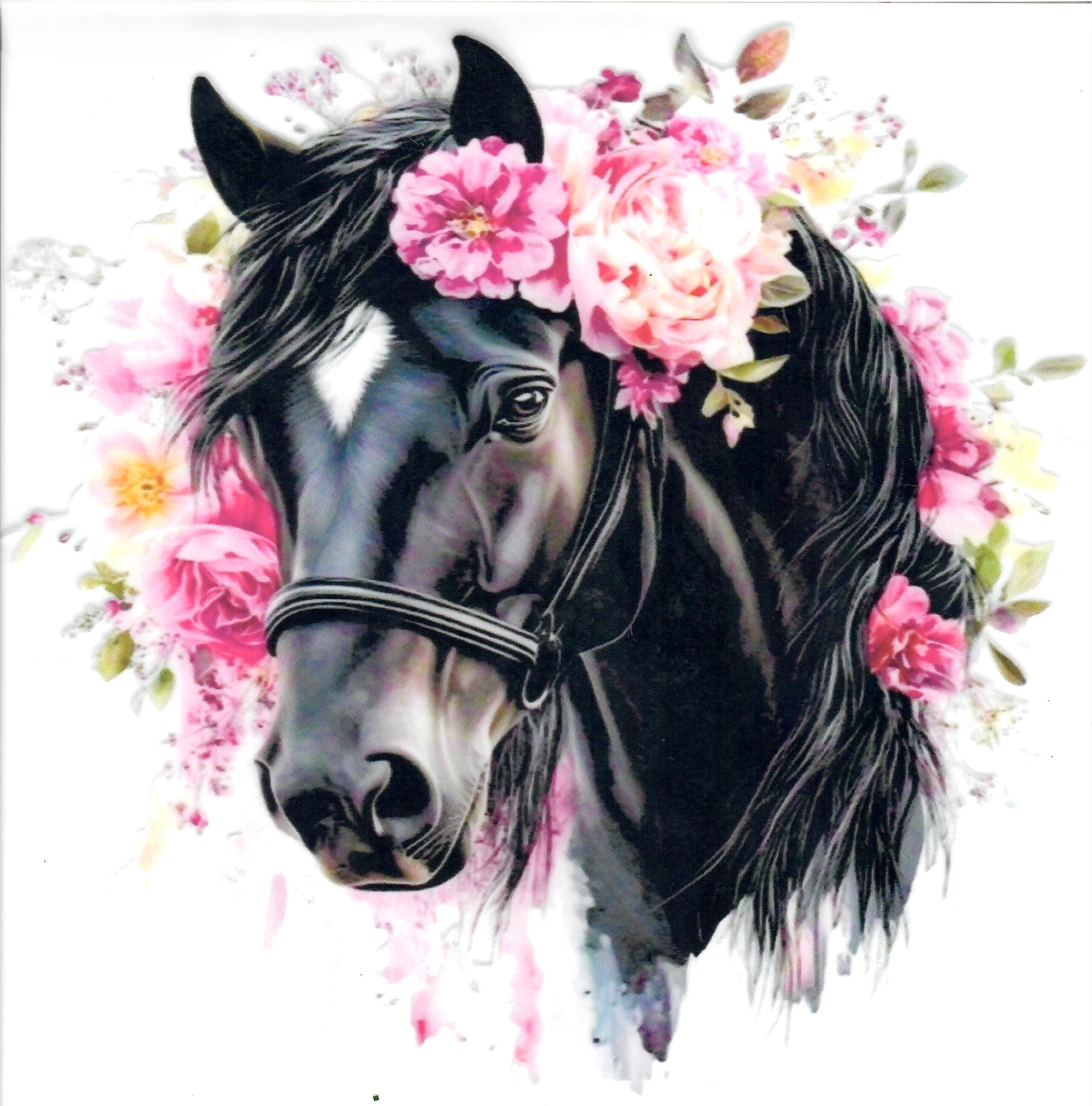 Horse #3
