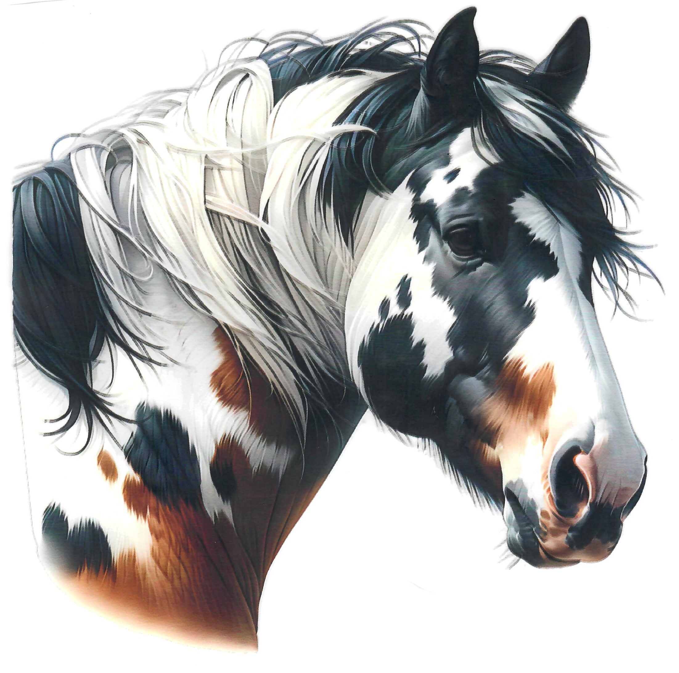 Horse #2