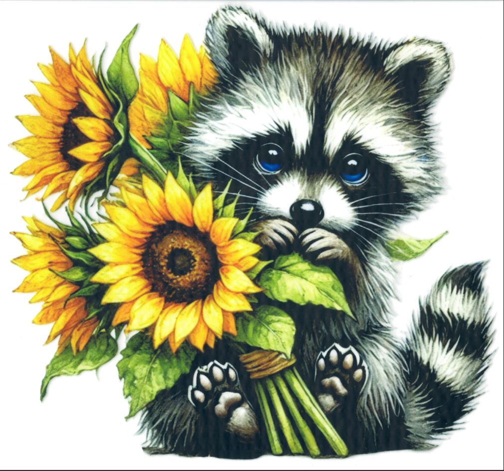 Sunflower Racoon #1