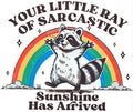 Sarcastic Little Ray of Sunshine Raccoon Shirt